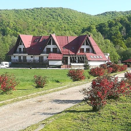 Pensiunea Rasnov المظهر الخارجي الصورة