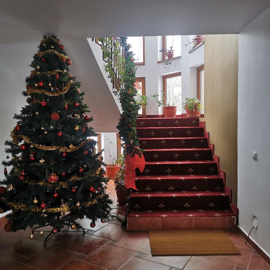 Pensiunea Rasnov المظهر الخارجي الصورة